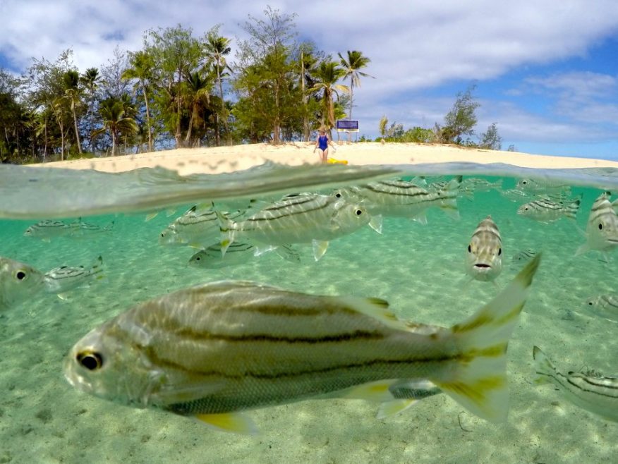 Island Time 6 Days - 5 Nights - 3 Islands – DISCOUNTED