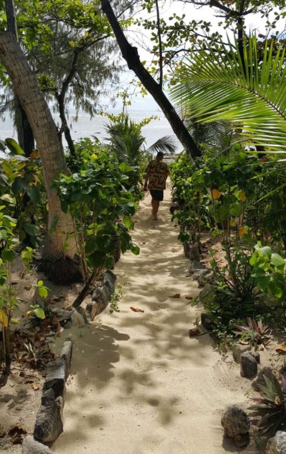 Beachcomber island deals