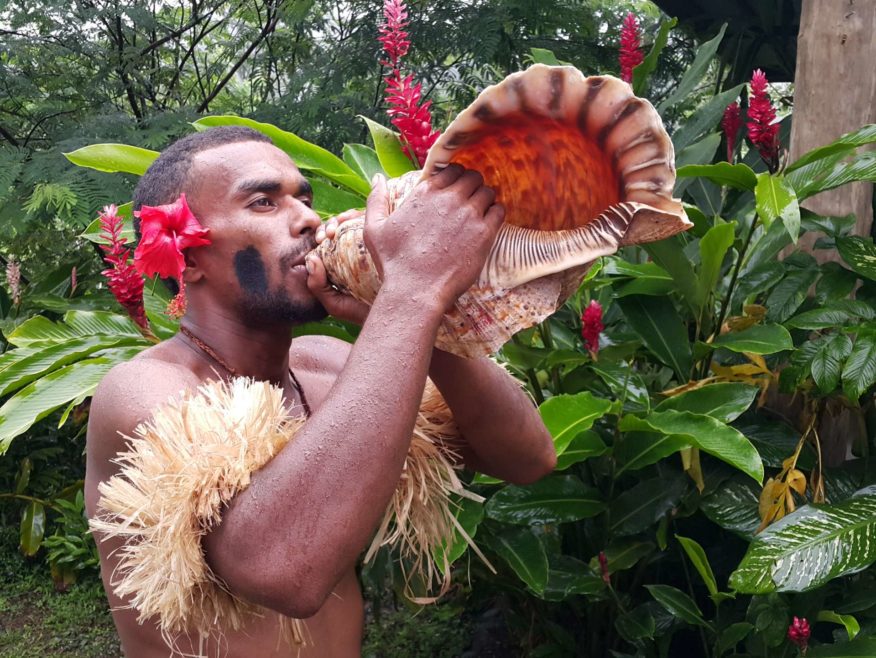 Full Day 6 hour Private Guided Tour - "You choose where to go from Suva" - Price per vehicle
