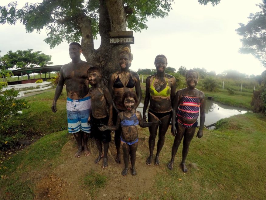Full Day 6 hour Private Guided Tour - "You choose where to go from Port Denarau or Nadi" - Price per vehicle