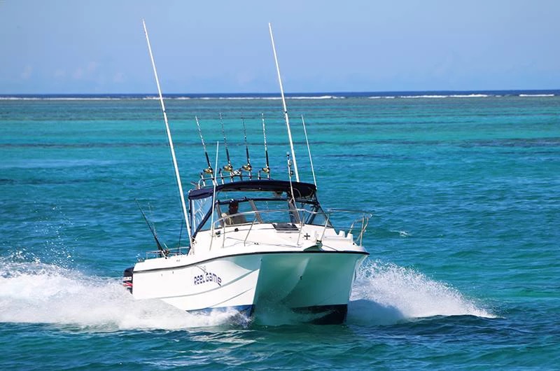 4 hour Boat Charter Snorkelling Trip to Malamala Island up to 10 Guests