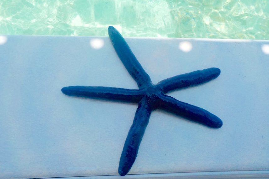 Katchalot Leisure 4 Hour Boat Charter