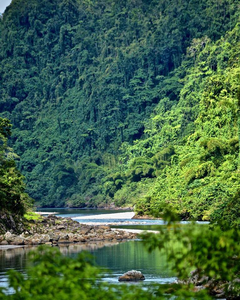 Navua River Tubing